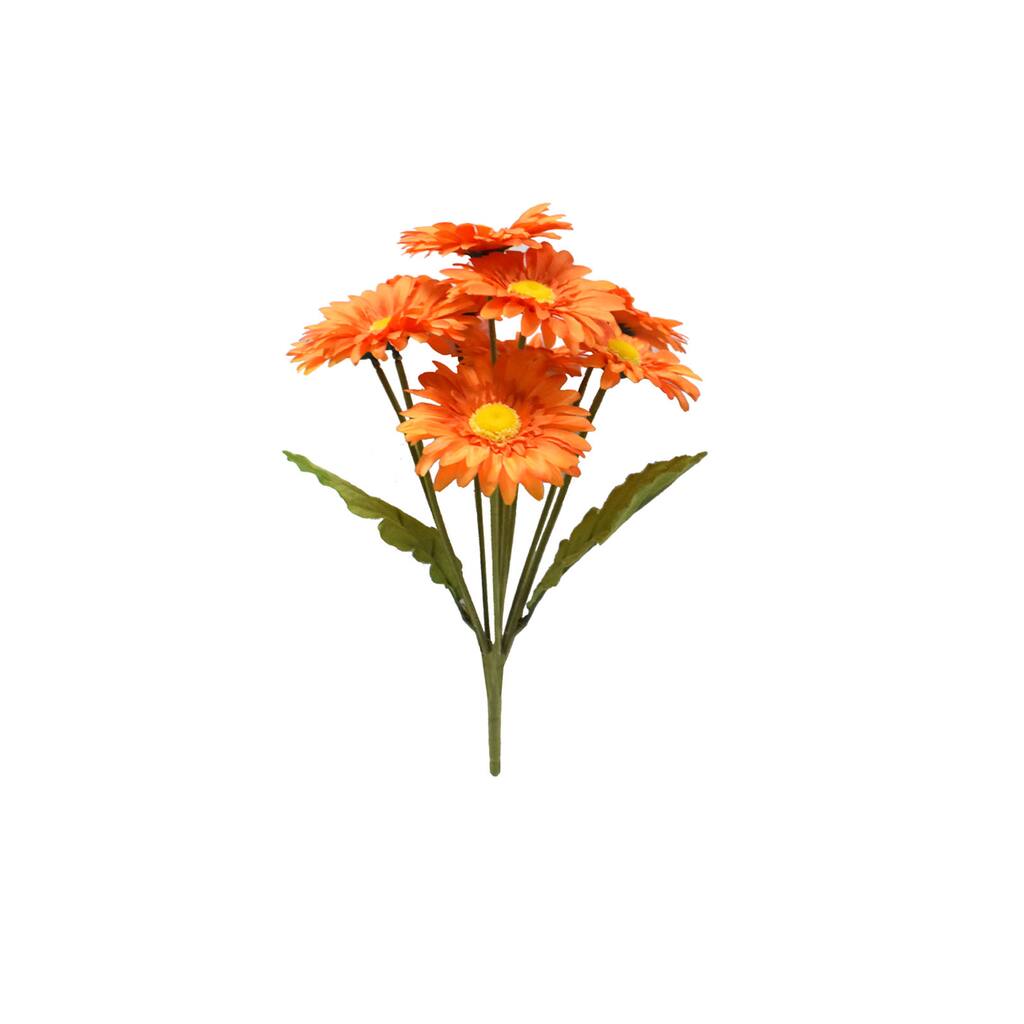 10650292_1.jpg img
